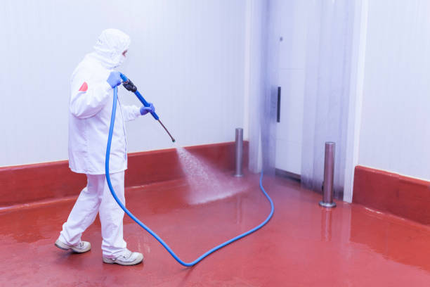 Best Post-Construction Pressure Washing  in Kentwood, LA